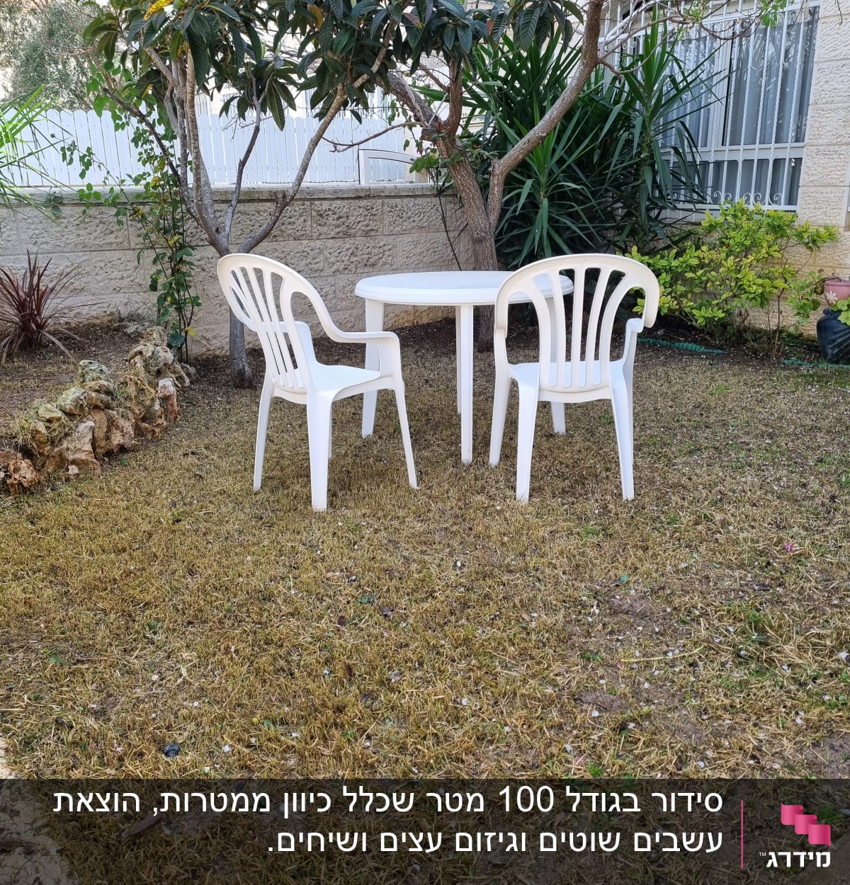 שולחן וכיסאות פלסטיק בגינה עם דשא ועצים